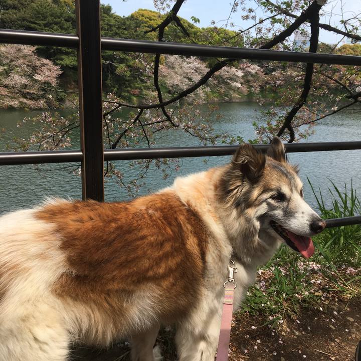 Bf2c364a 92eb 40ce 8e81 7392e8191c7c