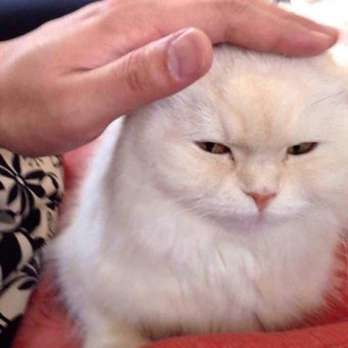 Bf2cf0dd 4105 4948 bce3 cdc454cfbc2f