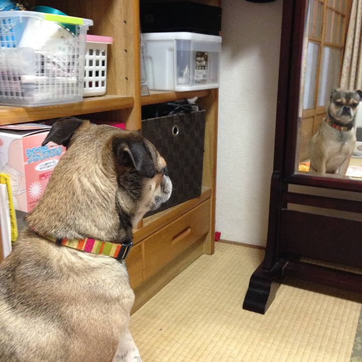 Bf2dd550 ae2a 48b3 be5a 97c906db7d40