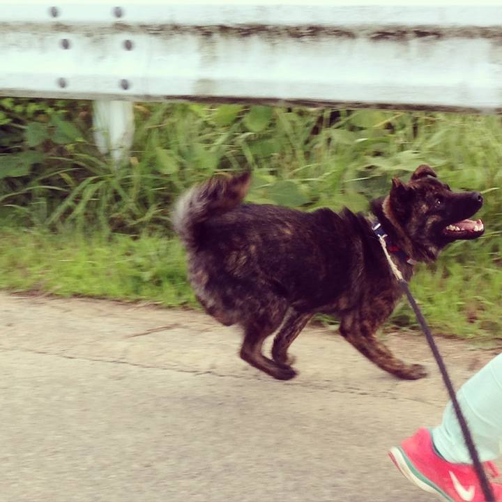 Bf2de80d 742f 46bd bdba 1f178e788fb2