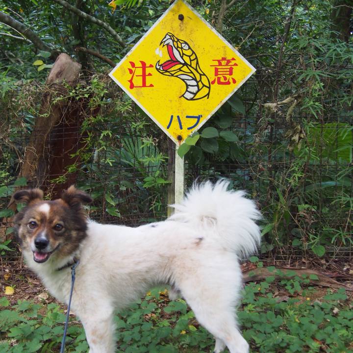 Bf2e2793 6120 4b21 9235 36534cd7474f