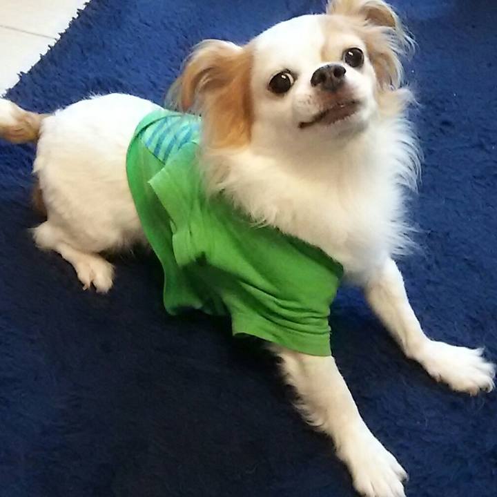 Bf2fbd6a e5d5 4885 937f 9f2a228ed410