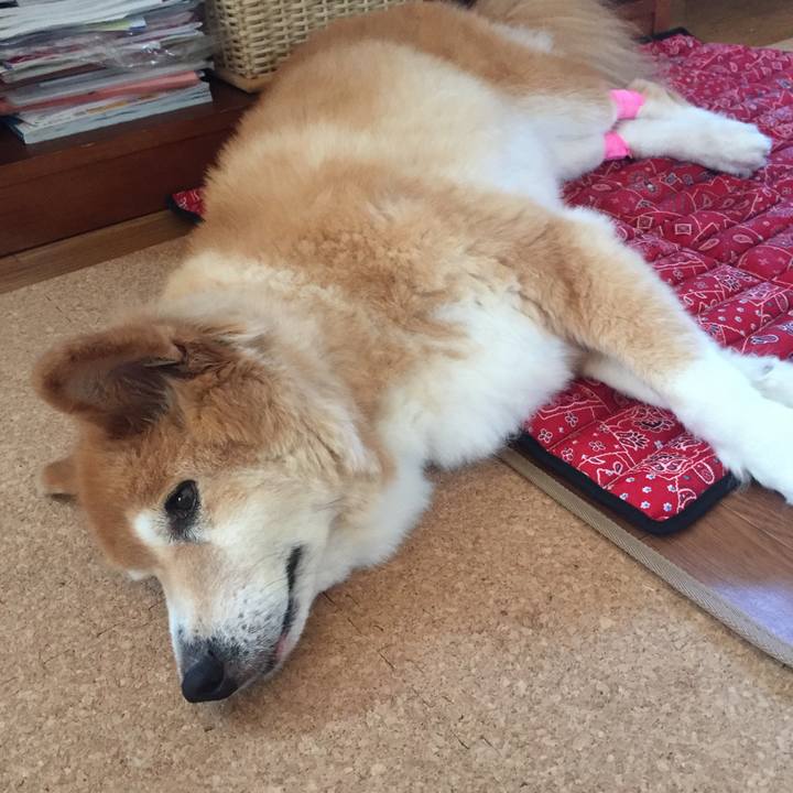 Bf30d2b9 59d9 4b9b ac13 a6673d14453d