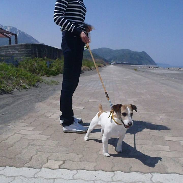 Bf30daa3 c21d 4db1 934c a168db4cffb4