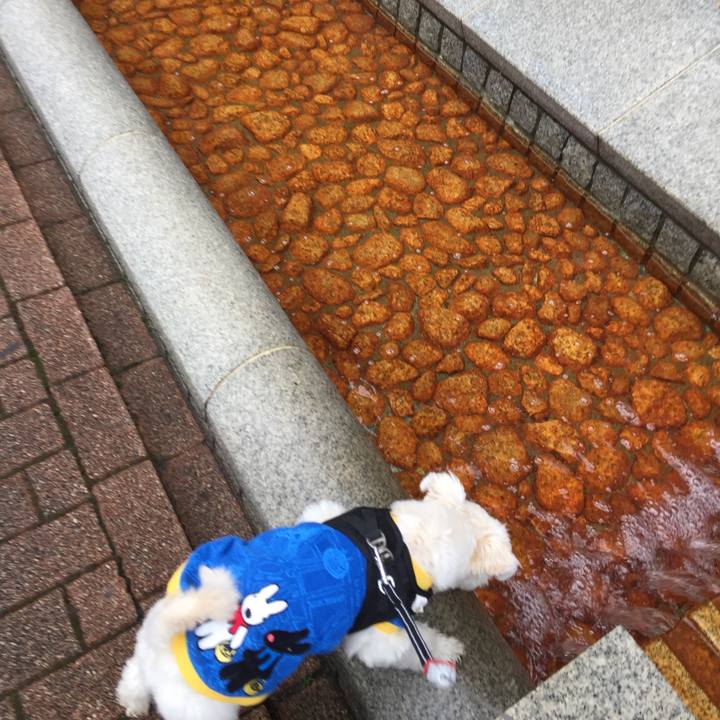 Bf313451 b467 4fe0 9faf e894ff320336