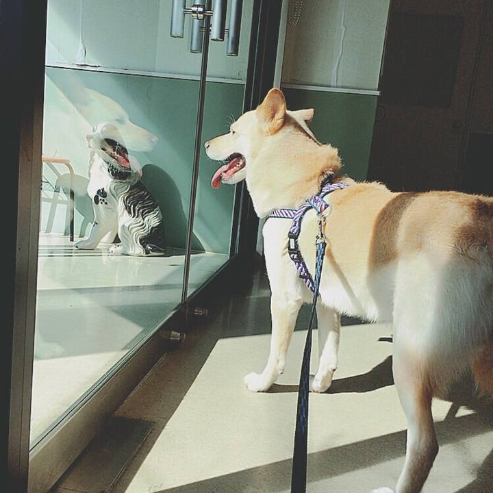 Bf313604 8883 47e1 a9c1 39528d4571eb