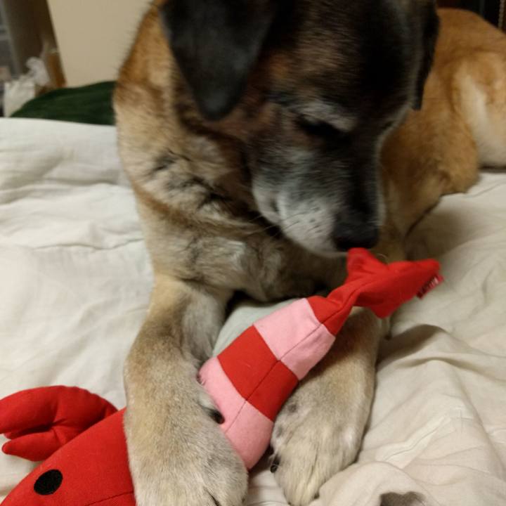 Bf31c03c b7a7 4b4a 80ef 7366ebfc96a2