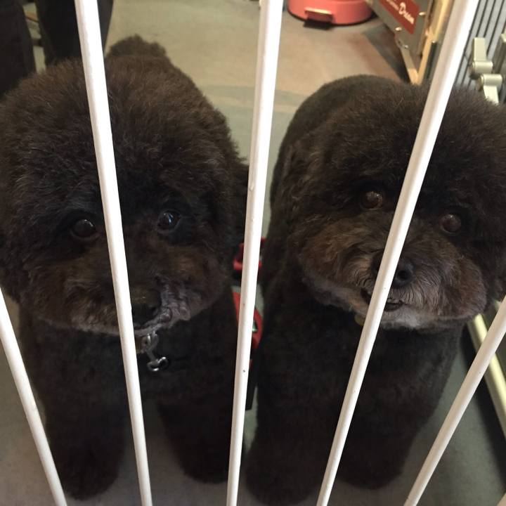 Bf31d761 735f 4bfa 8616 b9c4e7105dcc