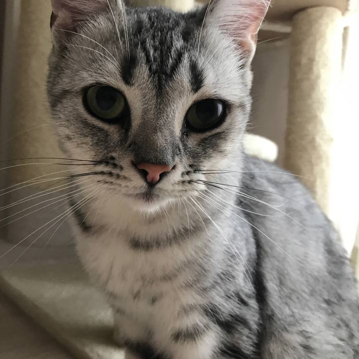 Bf31d907 be08 4d4d b166 5d8da00cd304