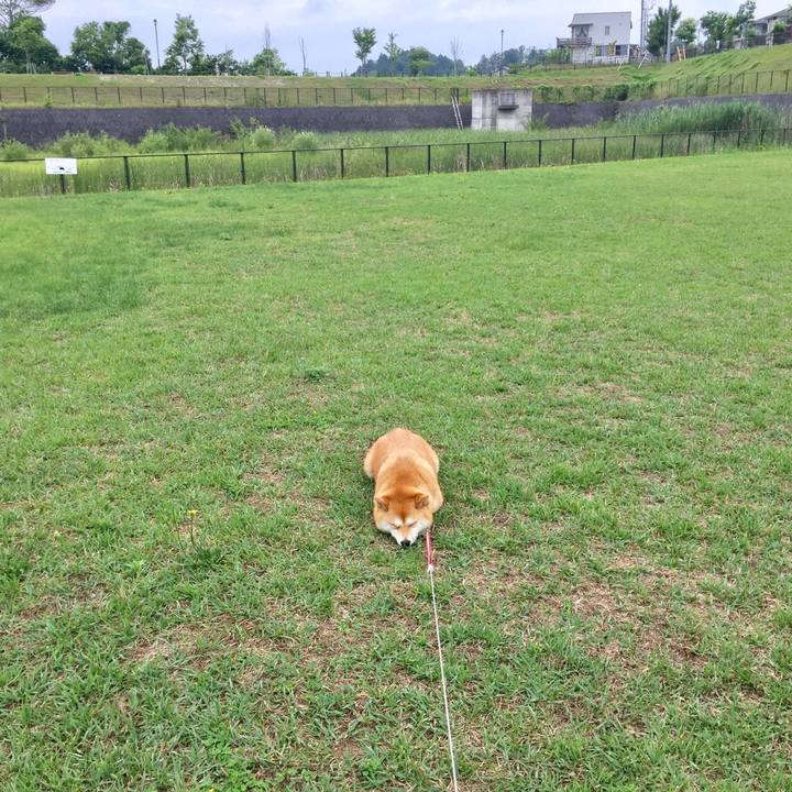 Bf31e90b d22b 48bd 97e7 162a68180800