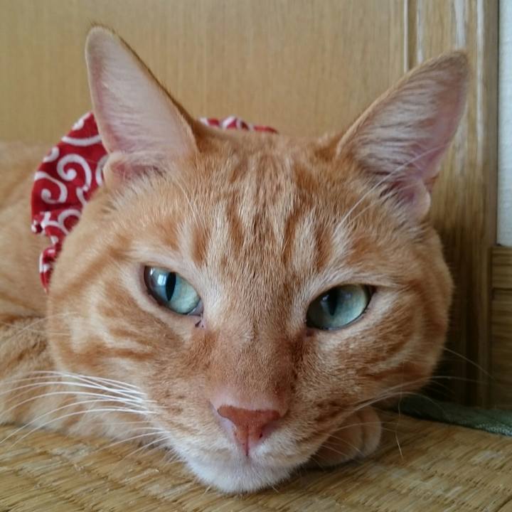 Bf327528 8a86 40c8 83f8 dd7602dec0bf