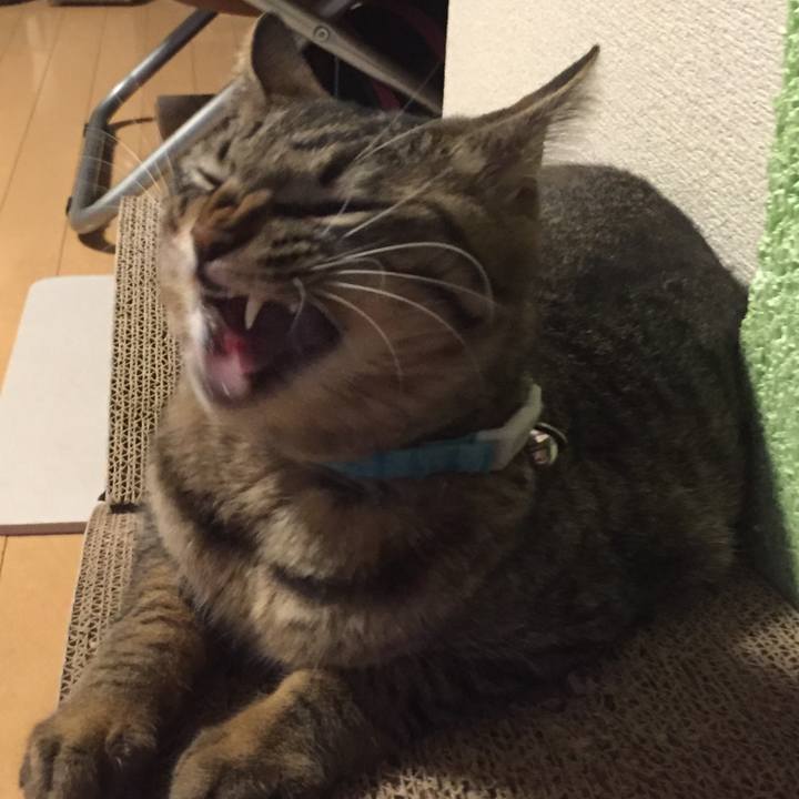 Bf33b0b2 4c73 4642 9b4b 037511ee43b8