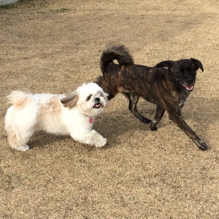 Bf33d62c 114f 4588 ad8b 89c04500e931