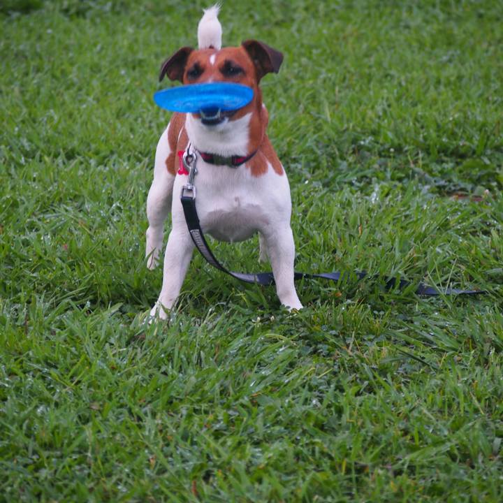 Bf33d8f2 2d03 491c a3c4 9e1c1652f9ec