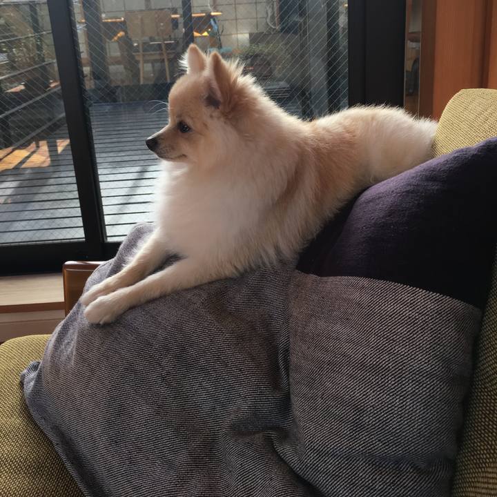 Bf341128 fecc 424c b54f d1e1751b55ee