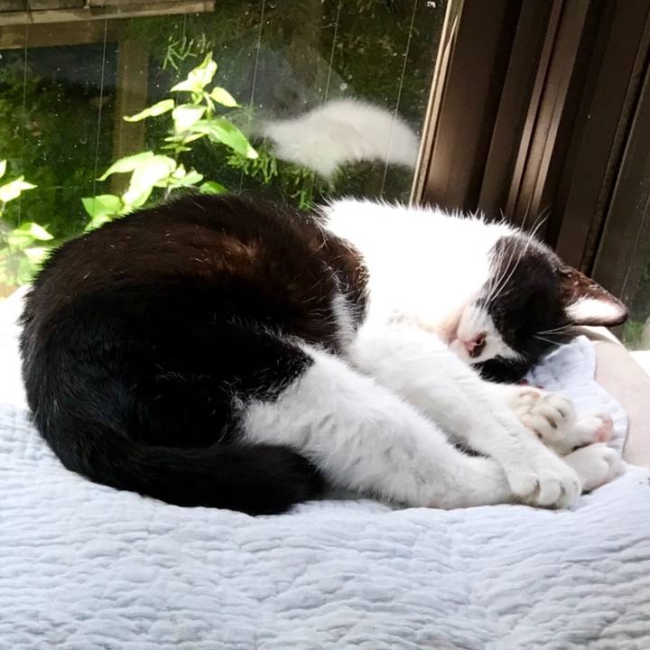 Bf3472fc b90c 443b b1b7 0d1e675b7b78