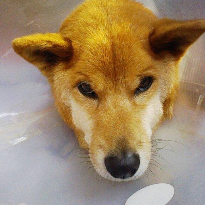 Bf349625 3bb7 4143 8828 fa2ddbd69427