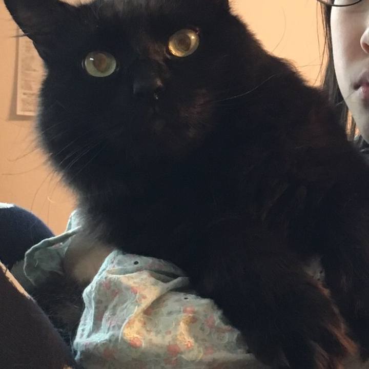 Bf349a3a 5bf6 4a83 8521 017c99f0c72a