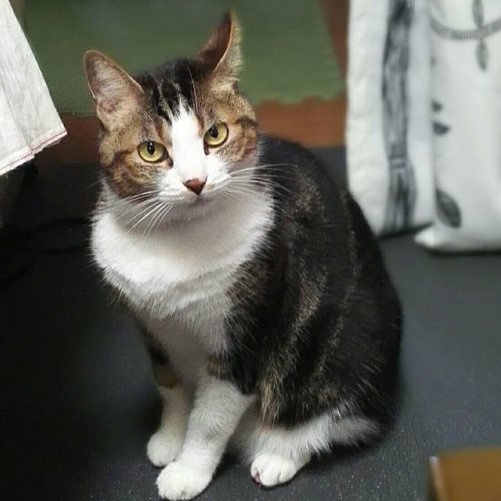 Bf34caee 68c5 4323 b3a9 2cfa3d35ba9a