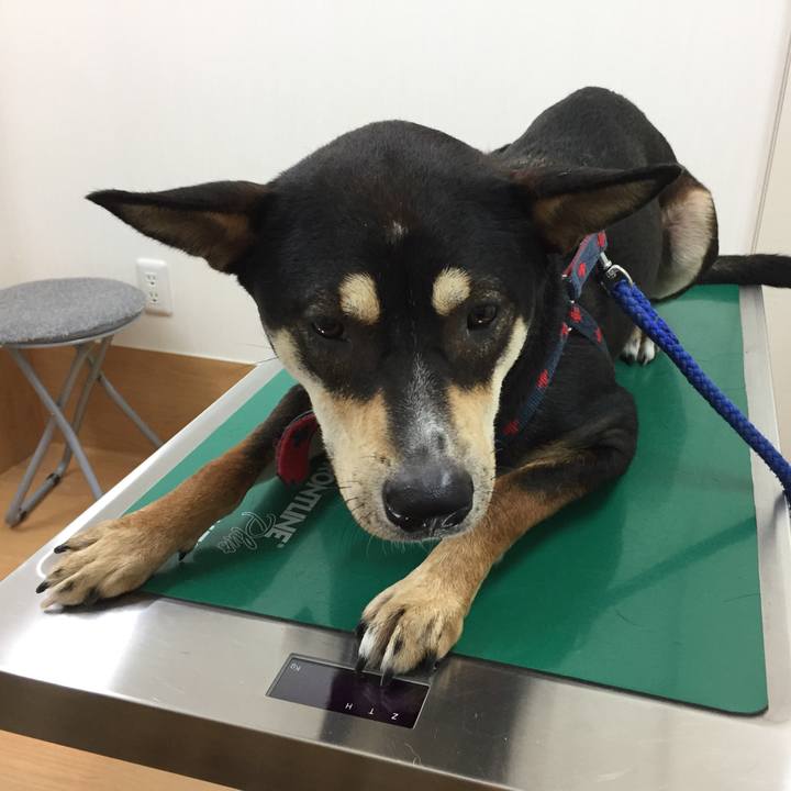 Bf35234d ecc7 44a3 99cc 08f99d82ea09