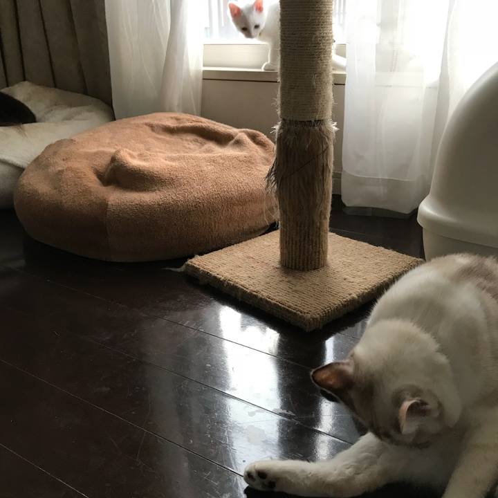 Bf353ec5 b3df 4901 b563 efda1a32bf2c