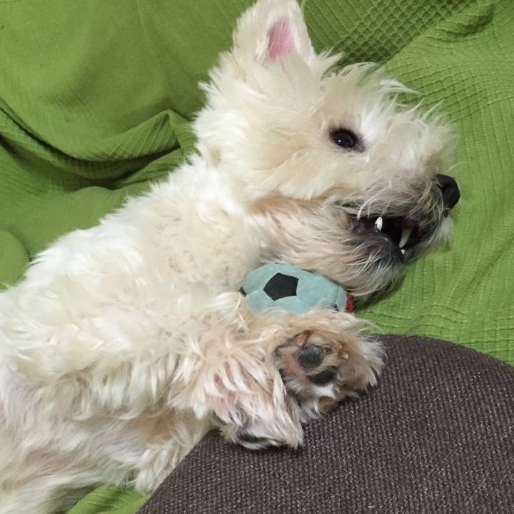 Bf3572dc d8b1 449c 9fcf 51d7bd3fa4da