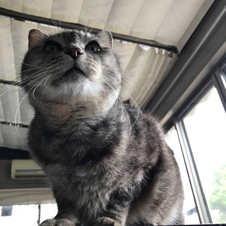 Bf36830c 911f 4955 92be 6db9cdb37760