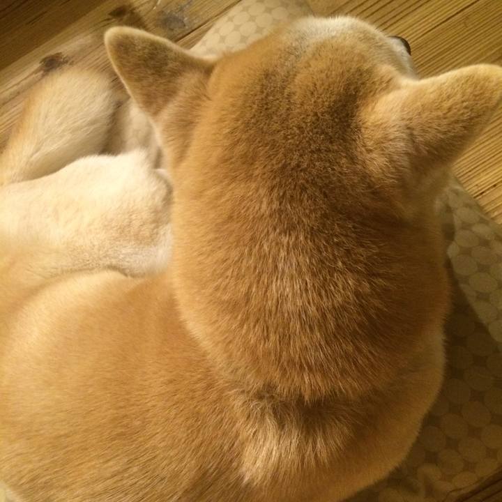 Bf369071 724b 4ac2 8193 540744c29878