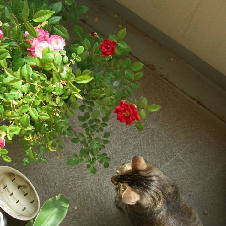 Bf372c3b 3b81 4347 b25d c01891cd314f