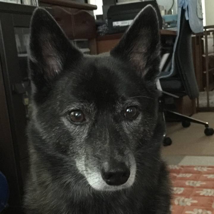 Bf375af0 e867 4ed4 9adb e4f199aed99d