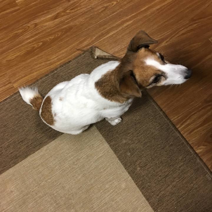 Bf37725e a87d 4c49 b38c c43202a7a3cc