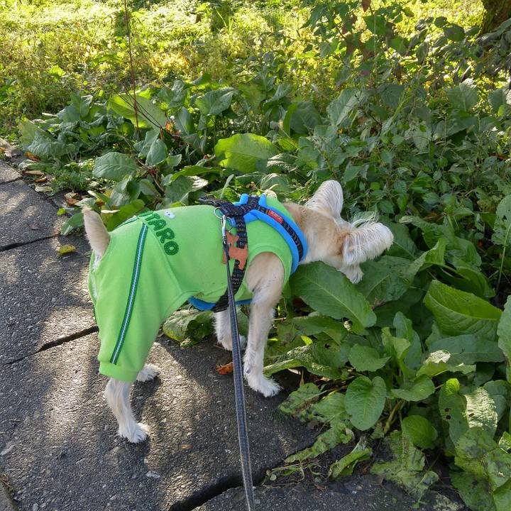 Bf37d187 31bf 4e3a 8a9f eef76739f2b8