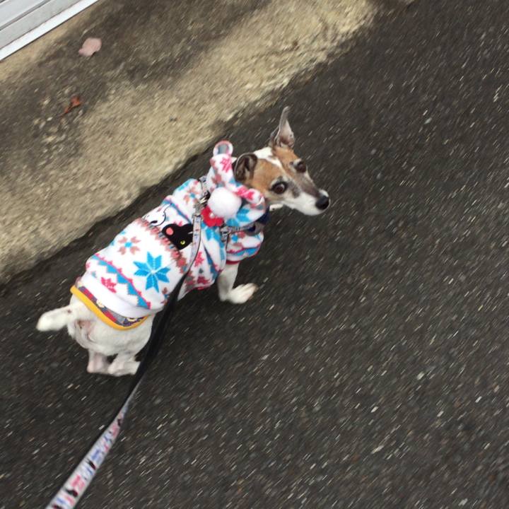 Bf380e88 a8ad 4cca b4fc 607db5b7fede