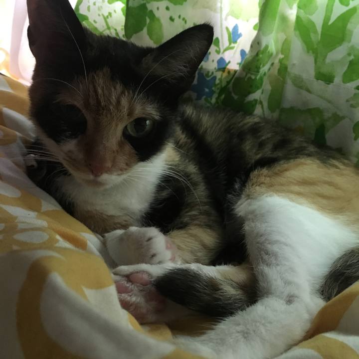 Bf38f024 2dd6 4fe7 92d9 8916d71c202e