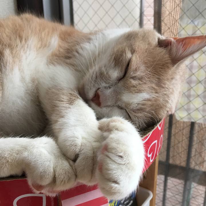 Bf390ad3 0b00 4df8 a777 4fd267694846