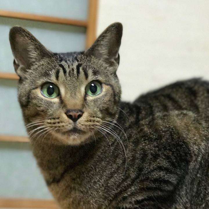 Bf396fb4 74db 40e6 84ac 2e7e8ffb3089