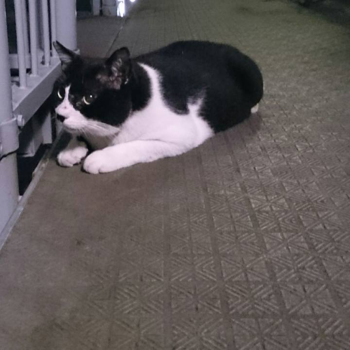 Bf3996ad ea53 42fb bd40 320524d04ecc