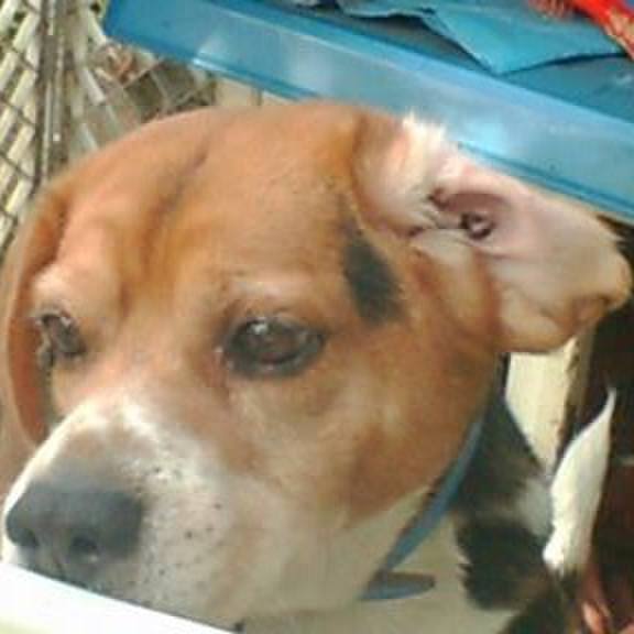 Bf39c4d4 4efa 4e8d 963c ae1801ba8c5a