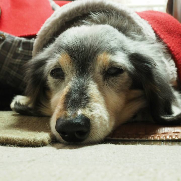 Bf3c2159 d713 4715 a1b9 e140f80a3b17