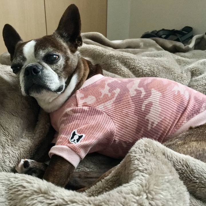 Bf3c4d86 9862 4d05 a577 9a3137e24994