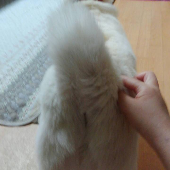 Bf3c8a3f 5981 457b b83d 97575a30a58e