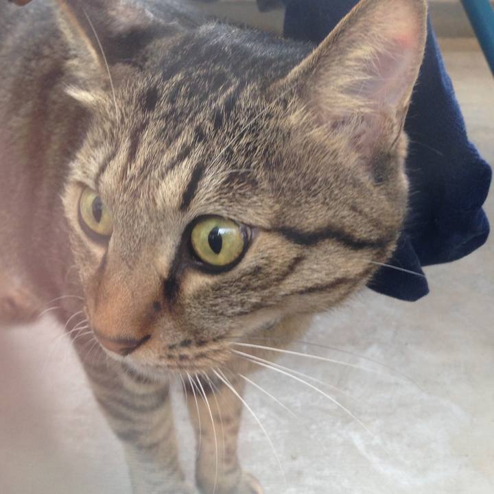 Bf3d862e 443c 438c 87f7 b2d8dd0ca86d