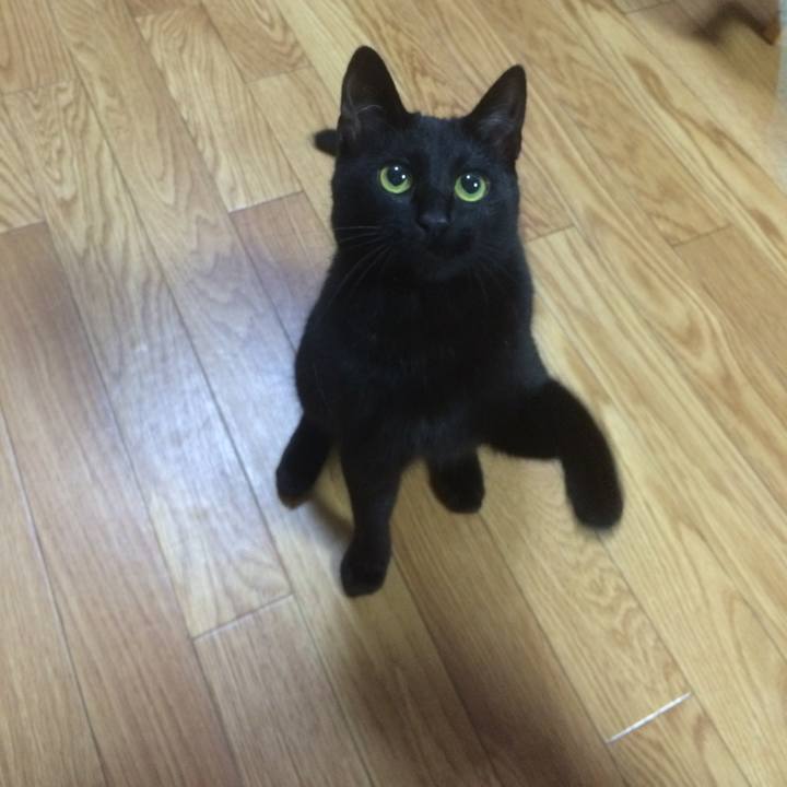 Bf3dc869 bebc 4f2f 850b 1186db8de562