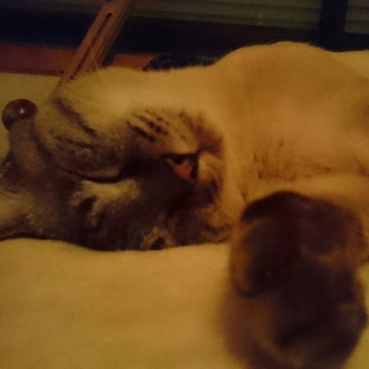 Bf3e7328 ccb3 422c b5ca cf72939cd4c9