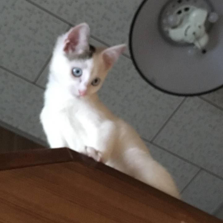 Bf3e8bce 21f9 4625 af27 43882471b946