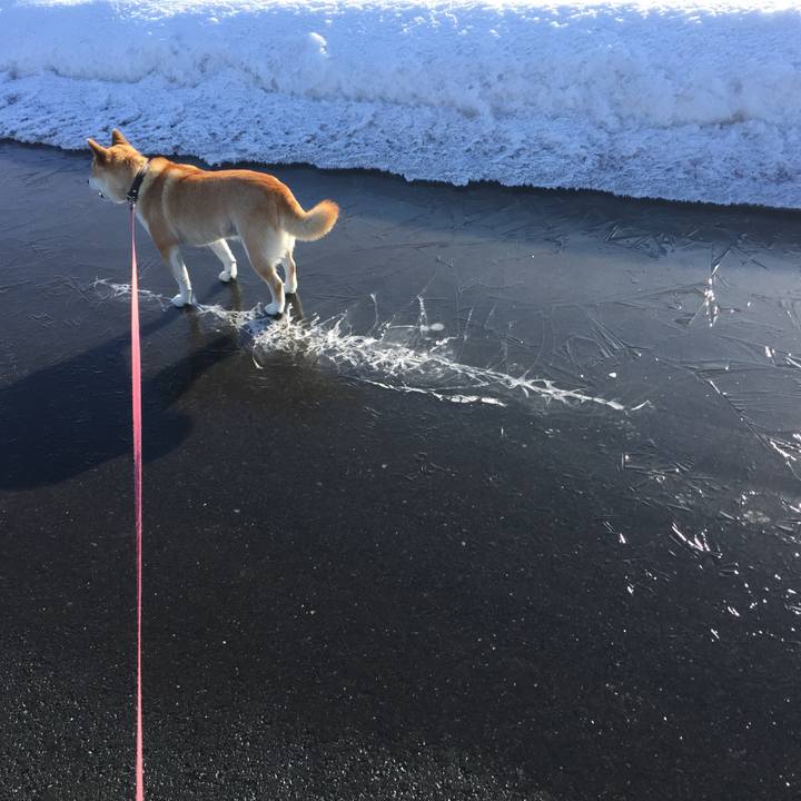 Bf3f5c7d 9de3 4616 9378 17be9e861057