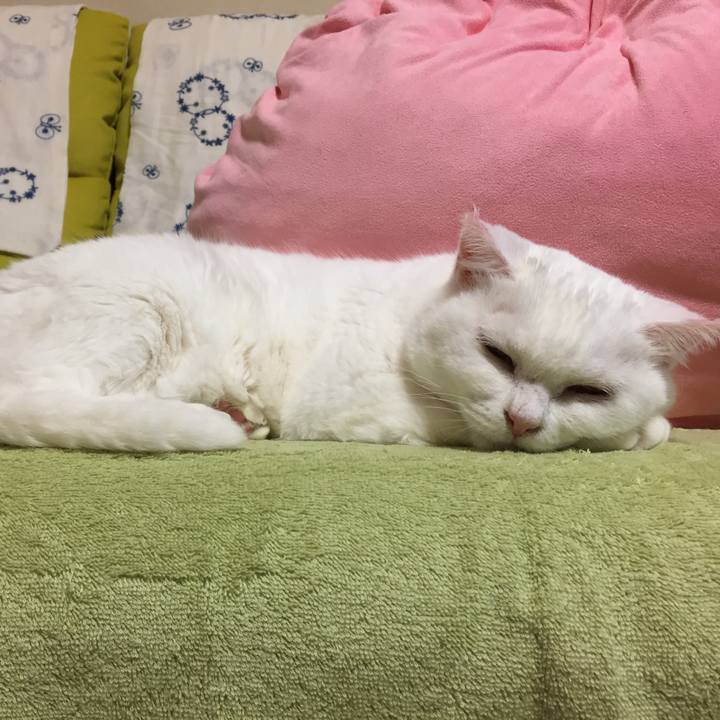 Bf4165e7 24b8 497d af5b 6d52ed7feb20