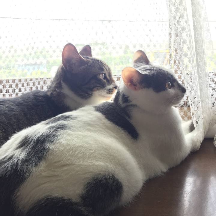 Bf418205 65f1 4198 9934 96e2a35bf712