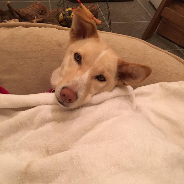 Bf41ca1d 0d24 4586 a950 bfc3d61a2ee0