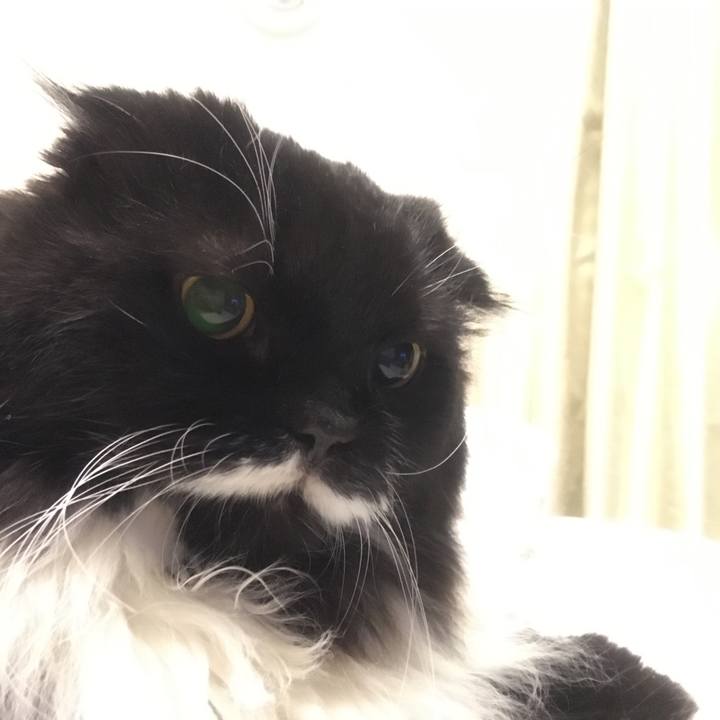 Bf423054 58f3 4257 83e8 1d3afe5c09c2